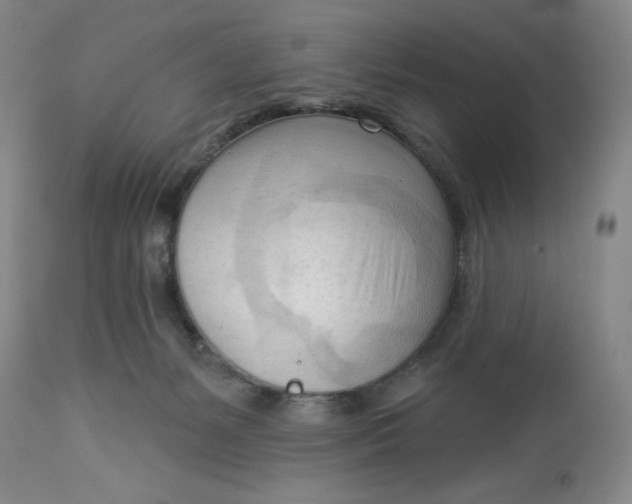 X0000113130127200909251249