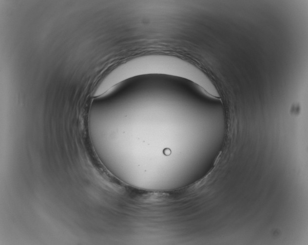 X0000113130128200909251249