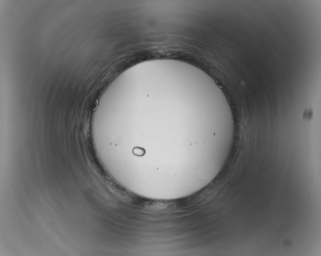 X0000113130129200909251249