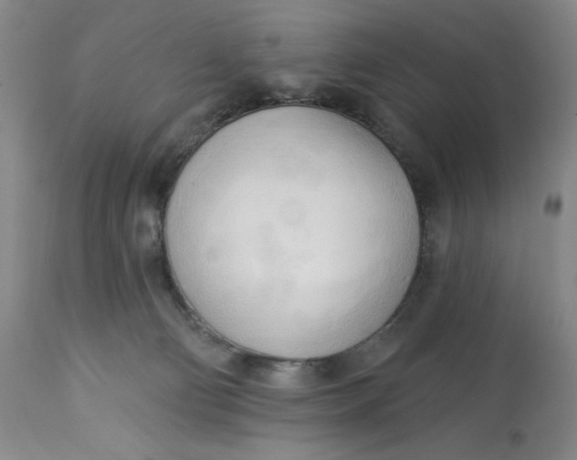 X0000113130130200909251249