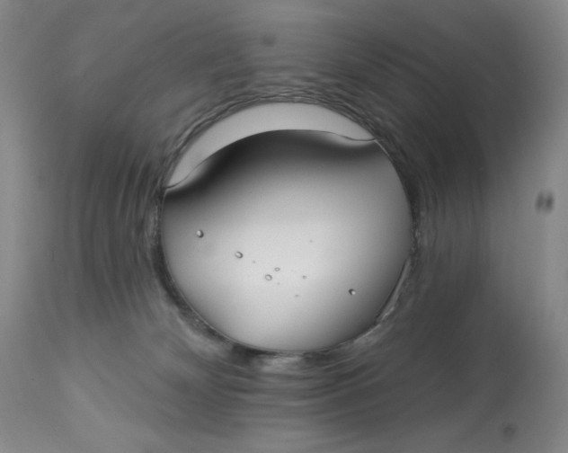 X0000113130132200909251249