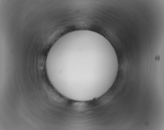 X0000113130133200909251249