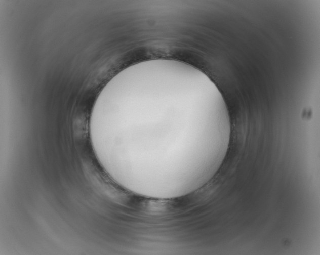 X0000113130134200909251249