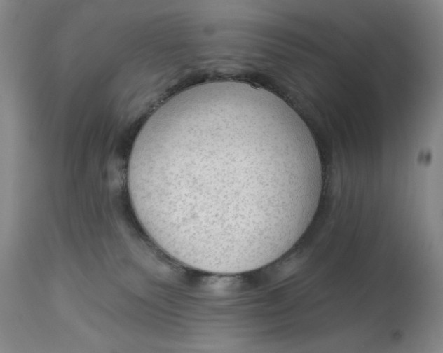 X0000113130135200909251249