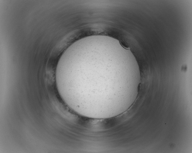 X0000113130136200909251249