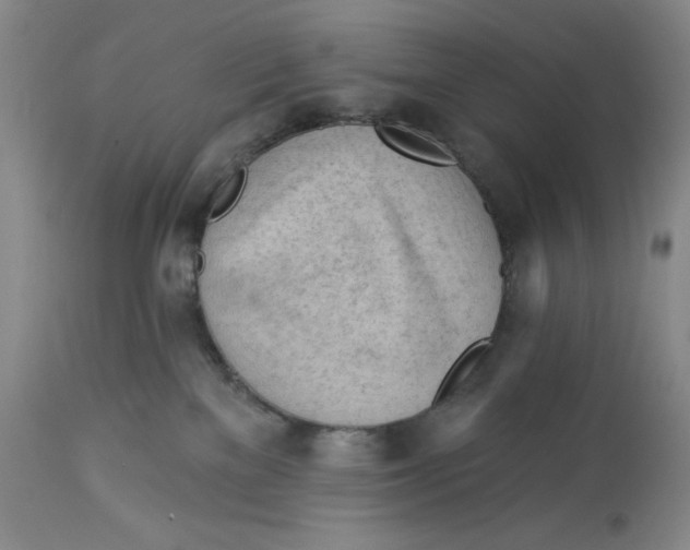 X0000113130137200909251249