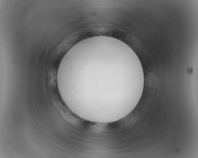 X0000113130138200909251249