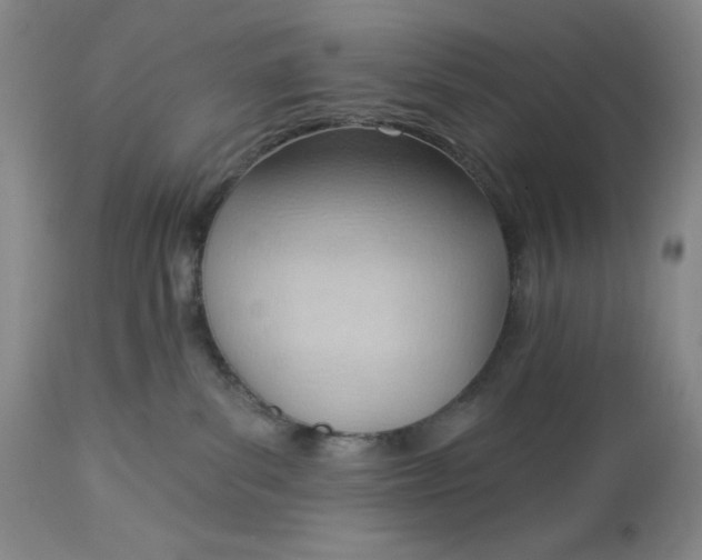 X0000113130139200909251248