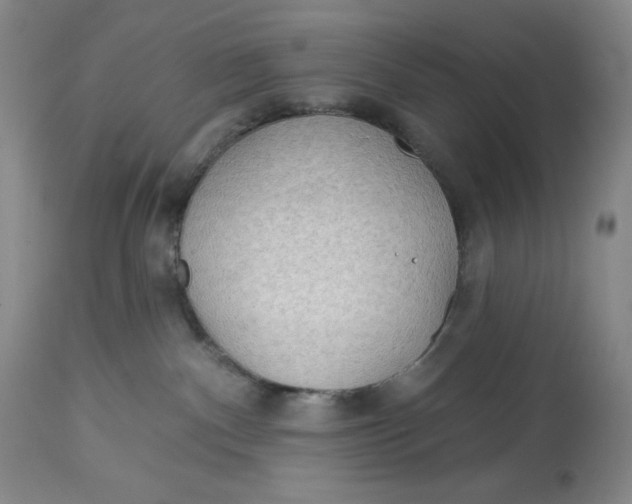 X0000113130140200909251248