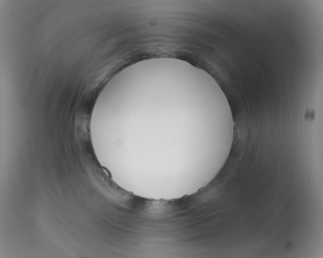 X0000113130141200909251248