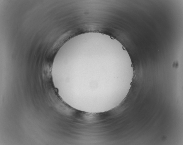 X0000113130142200909251248