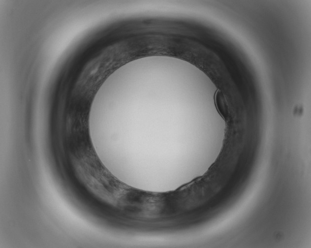 X0000113130143200909251248