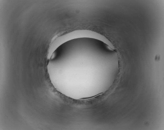 X0000113130144200909251248