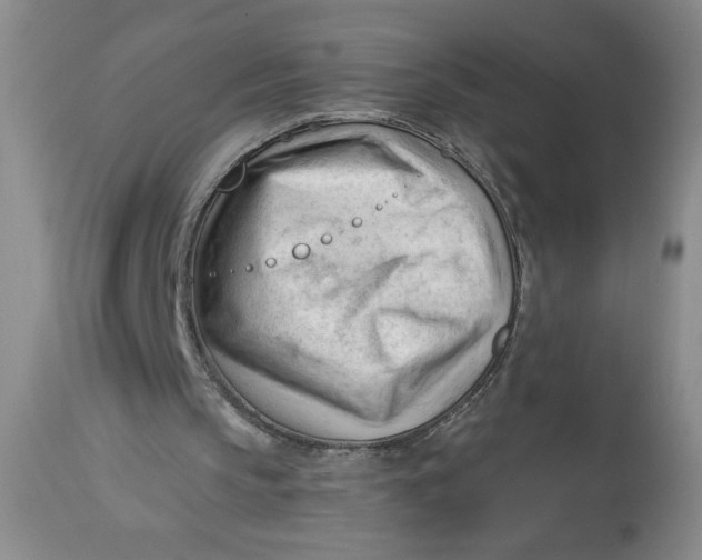 X0000113130145200909251248