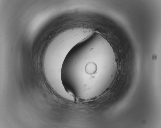 X0000113130146200909251248