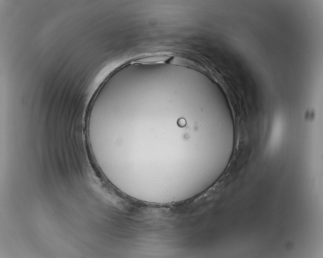 X0000113130147200909251248