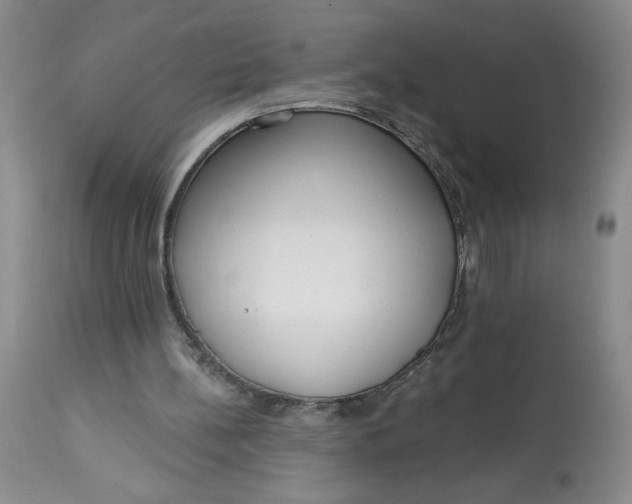 X0000113130148200909251248