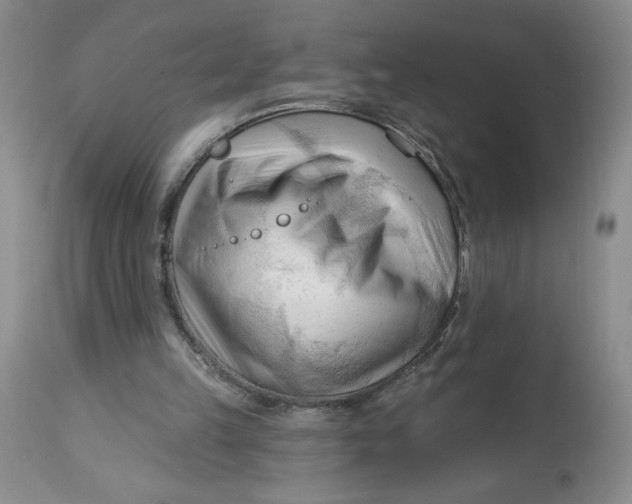 X0000113130149200909251248