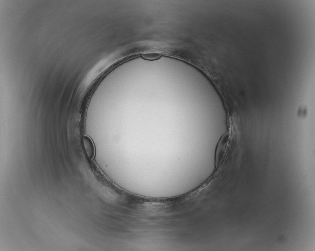 X0000113130150200909251248