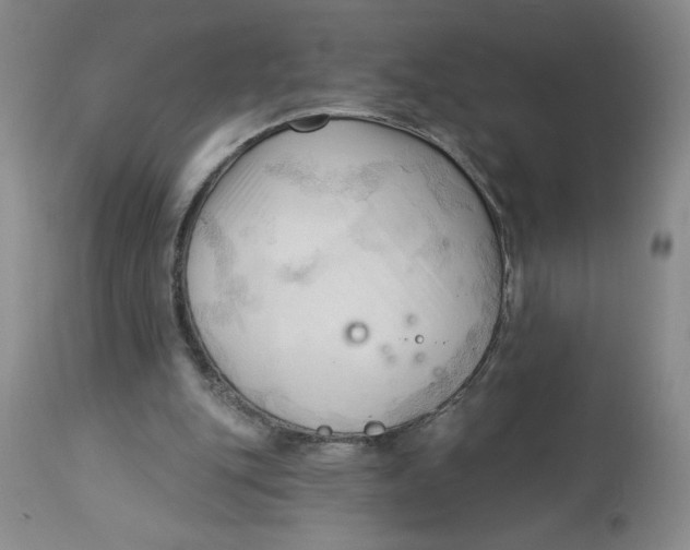 X0000113130151200909251248