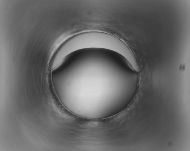 X0000113130152200909251248