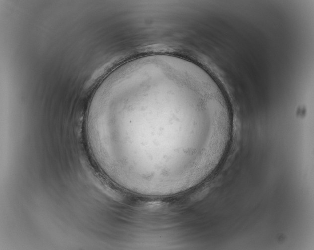 X0000113130153200909251248