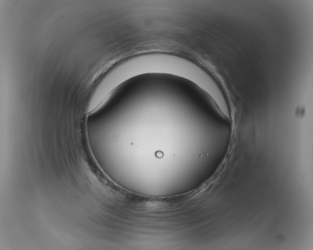 X0000113130154200909251248