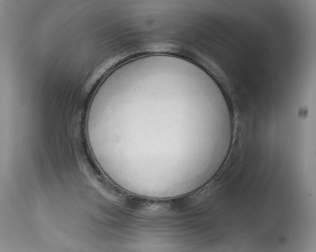 X0000113130155200909251248