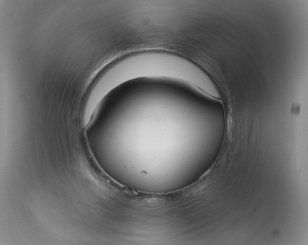 X0000113130156200909251248