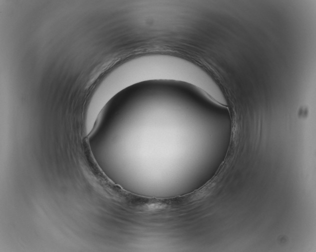 X0000113130158200909251248