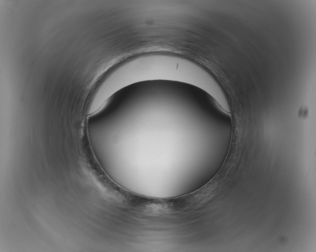 X0000113130160200909251248