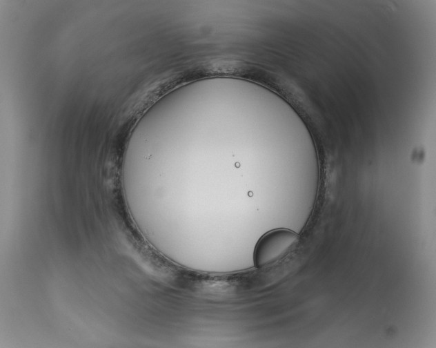 X0000113130161200909251248