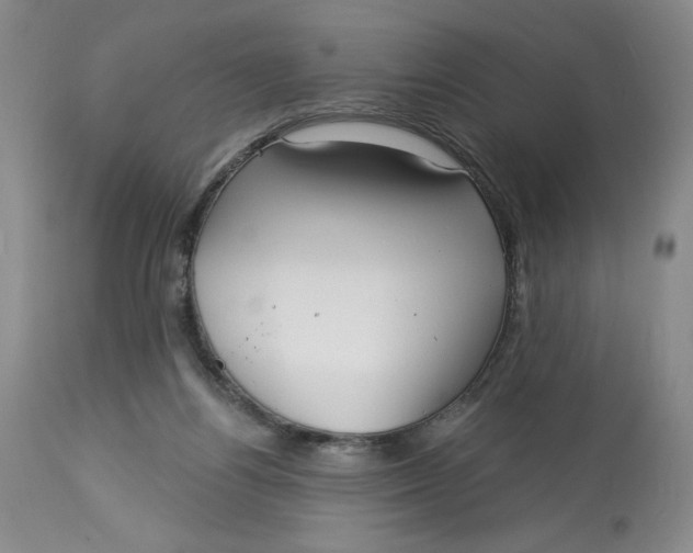 X0000113130164200909251248