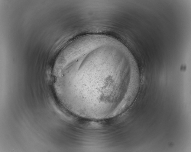 X0000113130166200909251248