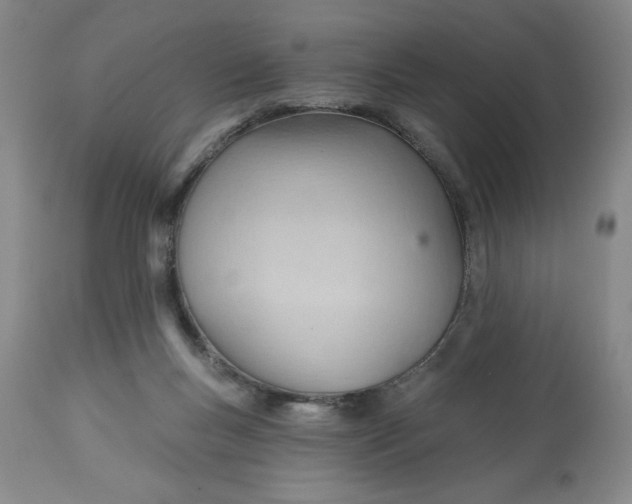 X0000113130167200909251248