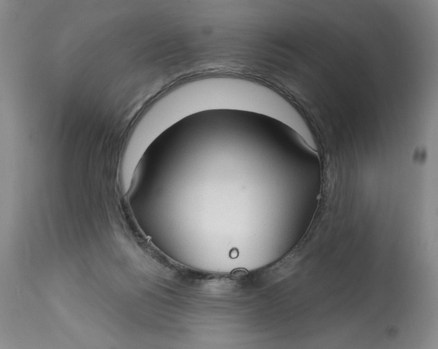 X0000113130168200909251248