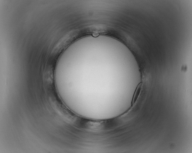 X0000113130170200909251248