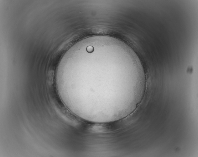 X0000113130171200909251248