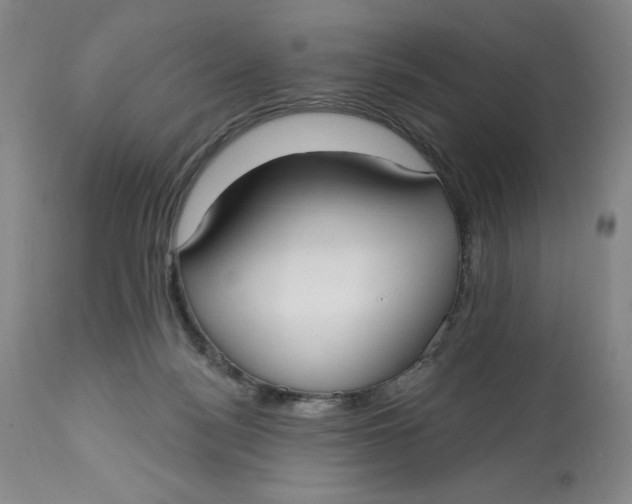 X0000113130172200909251248