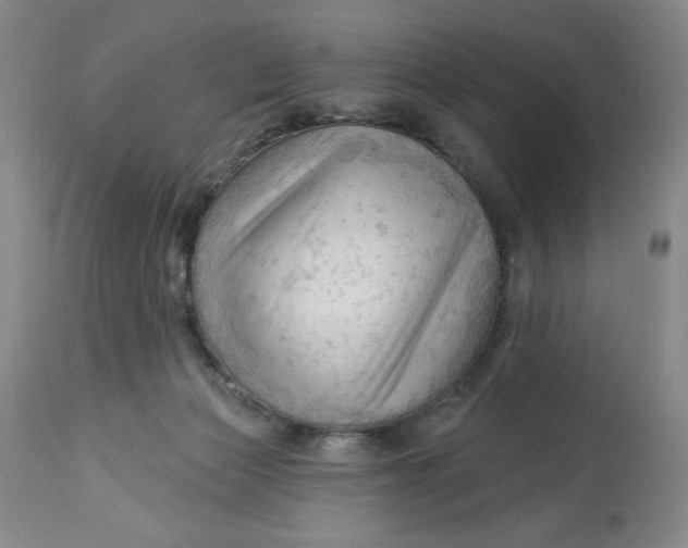 X0000113130173200909251248