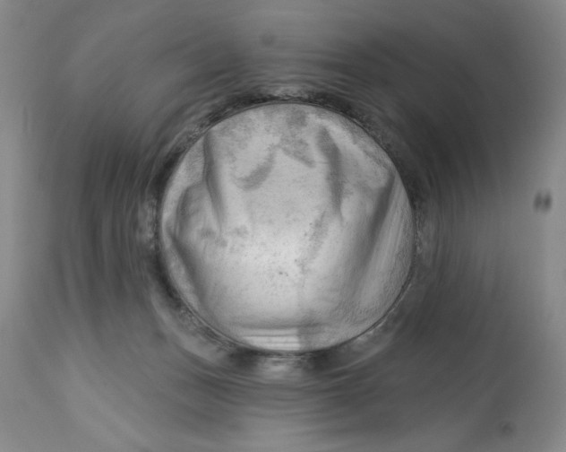 X0000113130175200909251248