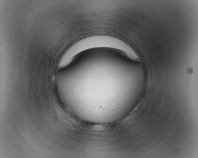 X0000113130176200909251248