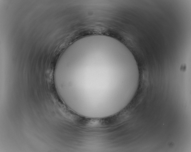 X0000113130177200909251248