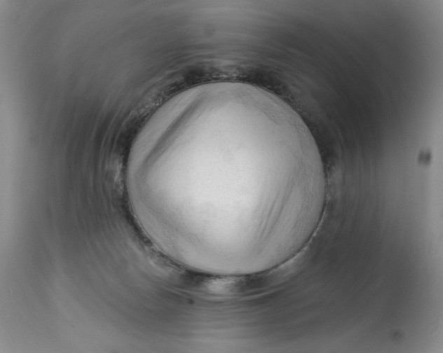 X0000113130178200909251248