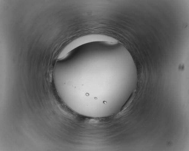 X0000113130180200909251248