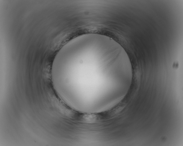 X0000113130181200909251248