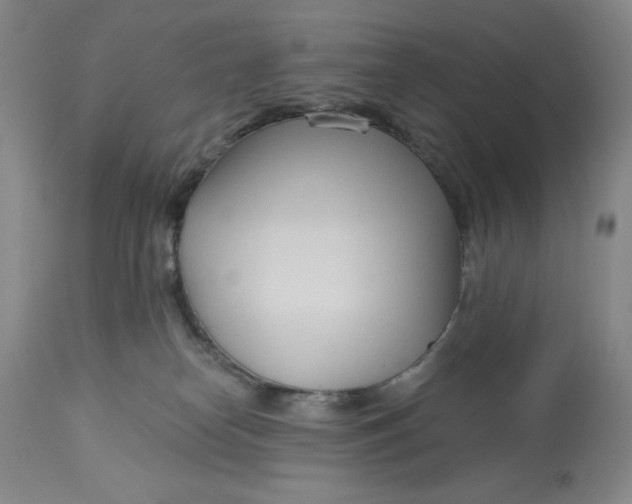 X0000113130182200909251248