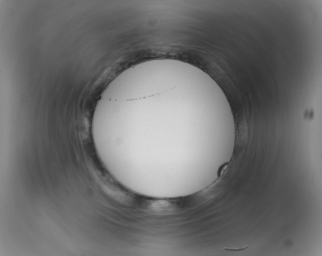 X0000113130183200909251248