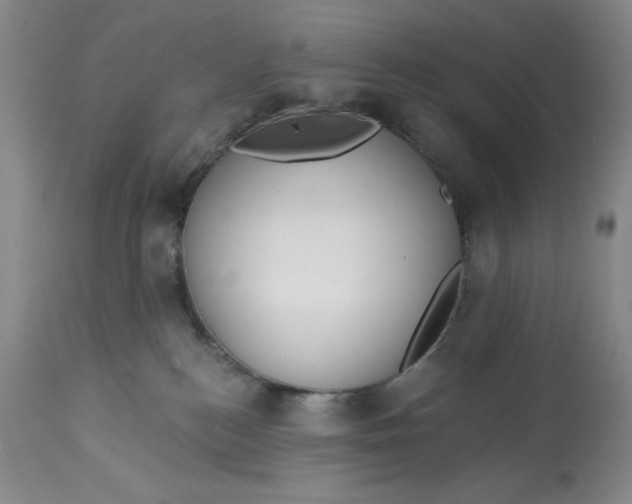 X0000113130184200909251248