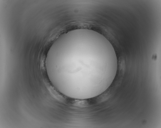 X0000113130185200909251248